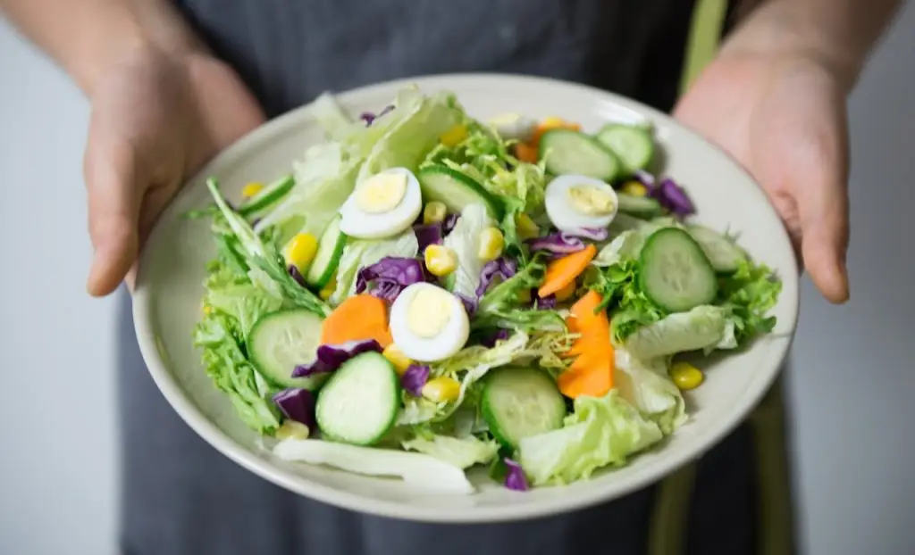 Illustrative plate of salad Person holding a plate of salad